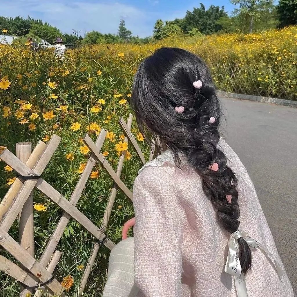 三只流浪狗