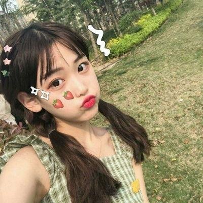 熊猫的故事